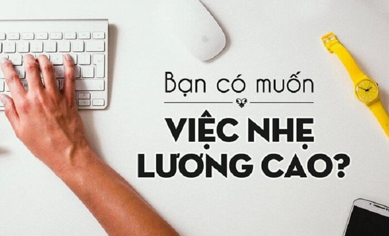 Công ty TNHH Dịch vụ kỹ thuật phần mềm Việt lừa đảo có thật không